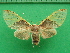  ( - KLM Lep 09849)  @13 [ ] CreativeCommons - Attribution Non-Commercial Share-Alike (2018) Christian Wieser Landesmuseum Kärnten