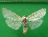  ( - KLM Lep 09866)  @13 [ ] CreativeCommons - Attribution Non-Commercial Share-Alike (2018) Christian Wieser Landesmuseum Kärnten