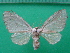  ( - KLM Lep 10055)  @11 [ ] CreativeCommons - Attribution Non-Commercial Share-Alike (2018) Christian Wieser Landesmuseum Kärnten