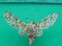  ( - KLM Lep 10203)  @11 [ ] CreativeCommons - Attribution Non-Commercial Share-Alike (2018) Christian Wieser Landesmuseum Kärnten