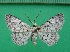  ( - KLM Lep 12525)  @11 [ ] CreativeCommons - Attribution Non-Commercial Share-Alike (2018) Christian Wieser Landesmuseum Kärnten
