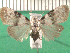  ( - KLM Lep 14124)  @11 [ ] CreativeCommons - Attribution Non-Commercial Share-Alike (2018) Christian Wieser Landesmuseum Kärnten