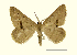  ( - AM 1962)  @13 [ ] CreativeCommons - Attribution (2010) Unspecified Centre for Biodiversity Genomics