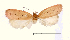  ( - AM 1992)  @12 [ ] CreativeCommons - Attribution (2010) Unspecified Centre for Biodiversity Genomics