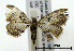  ( - ww04185)  @13 [ ] CreativeCommons - Attribution (2010) Unspecified Centre for Biodiversity Genomics