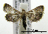  ( - ww04205)  @13 [ ] CreativeCommons - Attribution (2010) Unspecified Centre for Biodiversity Genomics