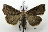  ( - ww04257)  @14 [ ] CreativeCommons - Attribution (2010) Unspecified Centre for Biodiversity Genomics