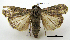  ( - ww04261)  @14 [ ] CreativeCommons - Attribution (2010) Unspecified Centre for Biodiversity Genomics