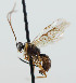  ( - NJP1120)  @11 [ ] CreativeCommons  Attribution Share-Alike (by-sa) (2023) Unspecified Linnaeus University