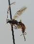  ( - NJP1122)  @11 [ ] CreativeCommons  Attribution Share-Alike (by-sa) (2023) Unspecified Linnaeus University