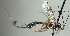  ( - NJP1476)  @11 [ ] CreativeCommons  Attribution Share-Alike (by-sa) (2025) Unspecified Linnaeus University