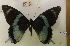  ( - AVM565)  @11 [ ] CreativeCommons - Attribution Non-Commercial Share-Alike (2018) Markus Franzen Linnaeus university