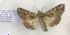  ( - AVM680)  @11 [ ] CreativeCommons - Attribution Non-Commercial Share-Alike (2018) Markus Franzen Linnaeus university