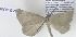  ( - AVM0978)  @11 [ ] CreativeCommons - Attribution Non-Commercial Share-Alike (2018) Markus Franzen Linnaeus university
