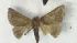  ( - AVM708)  @11 [ ] CreativeCommons - Attribution Non-Commercial Share-Alike (2018) Markus Franzen Linnaeus university