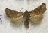  ( - AVM826)  @11 [ ] CreativeCommons - Attribution Non-Commercial Share-Alike (2018) Markus Franzen Linnaeus university