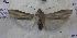  ( - AVM830)  @13 [ ] CreativeCommons - Attribution Non-Commercial Share-Alike (2018) Markus Franzen Linnaeus university