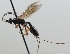  ( - NJP905)  @11 [ ] CreativeCommon (2022) Markus Franzen Linnaeus university