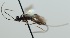  ( - NJP916)  @11 [ ] CreativeCommon (2022) Markus Franzen Linnaeus university