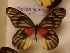  ( - AVM_72)  @11 [ ] CreativeCommons - Attribution Non-Commercial Share-Alike (2017) Markus Franzen Linnaeus university