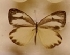  ( - AVM_87)  @11 [ ] CreativeCommons - Attribution Non-Commercial Share-Alike (2017) Markus Franzen Linnaeus university