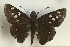  ( - AVM_386)  @11 [ ] CreativeCommons - Attribution Non-Commercial Share-Alike (2017) Markus Franzen Linnaeus university