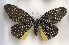  ( - AVM_407)  @11 [ ] CreativeCommons - Attribution Non-Commercial Share-Alike (2017) Markus Franzen Linnaeus university