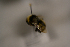  ( - AVM1576)  @11 [ ] CreativeCommon (2061) Markus Franzen Linnaeus university
