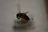  ( - AVM1841)  @11 [ ] CreativeCommon (2342) Markus Franzen Linnaeus university