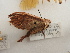  ( - 17_FAZS_141)  @11 [ ] CreativeCommons - Attribution Non-Commercial Share-Alike (2017) Markus Franzen Linnaeus university