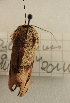  ( - 17_FAZS_147)  @11 [ ] CreativeCommons - Attribution Non-Commercial Share-Alike (2017) Markus Franzen Linnaeus university