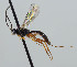  ( - NJP1003)  @11 [ ] CreativeCommons  Attribution Share-Alike (by-sa) (2023) Unspecified Linnaeus University
