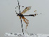  ( - NJP1034)  @11 [ ] CreativeCommons  Attribution Share-Alike (by-sa) (2023) Unspecified Linnaeus University
