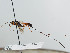  ( - NJP1040)  @11 [ ] CreativeCommons  Attribution Share-Alike (by-sa) (2023) Unspecified Linnaeus University