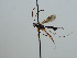  ( - NJP1054)  @11 [ ] CreativeCommons  Attribution Share-Alike (by-sa) (2023) Unspecified Linnaeus University