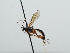 ( - NJP926)  @11 [ ] CreativeCommons  Attribution Share-Alike (by-sa) (2023) Unspecified Linnaeus University