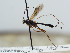 ( - NJP933)  @11 [ ] CreativeCommons  Attribution Share-Alike (by-sa) (2023) Unspecified Linnaeus University