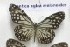  ( - AVM_129)  @11 [ ] CreativeCommons - Attribution Non-Commercial Share-Alike (2017) Markus Franzen Linnaeus university