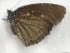  ( - AVM_153)  @11 [ ] CreativeCommons - Attribution Non-Commercial Share-Alike (2017) Markus Franzen Linnaeus university