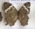  ( - AVM_156)  @11 [ ] CreativeCommons - Attribution Non-Commercial Share-Alike (2017) Markus Franzen Linnaeus university