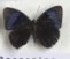 ( - AVM_176)  @11 [ ] CreativeCommons - Attribution Non-Commercial Share-Alike (2017) Markus Franzen Linnaeus university