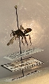  ( - AVM1848)  @11 [ ] CreativeCommon (2022) Markus Franzen Linnaeus university