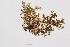  ( - LOB_37)  @11 [ ] Copyright (2014) Unspecified Institute Cor Tropical Biology and Conservation