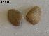  ( - LMBLP11-003)  @12 [ ] Unspecified (default): All Rights Reserved (2012) Unspecified Unspecified