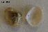 ( - LMBLP11-002)  @12 [ ] Unspecified (default): All Rights Reserved (2012) Unspecified Unspecified