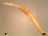  ( - RR10-002)  @12 [ ] CreativeCommons - Attribution Non-Commercial Share-Alike (2013) Marcos A.M.L. Teixeira University of Minho, Centre of Molecular and Environmental Biology