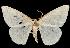  ( - 06-BLLOC-197)  @14 [ ] CreativeCommons - Attribution (2010) Unspecified Centre for Biodiversity Genomics