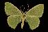  ( - 06-BLLOC-1973)  @14 [ ] CreativeCommons - Attribution (2010) Unspecified Centre for Biodiversity Genomics