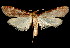  ( - 06-BLLOC-3168)  @14 [ ] CreativeCommons - Attribution (2010) Unspecified Centre for Biodiversity Genomics