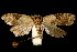  ( - 06-BLLOC-3214)  @12 [ ] CreativeCommons - Attribution (2010) Unspecified Centre for Biodiversity Genomics